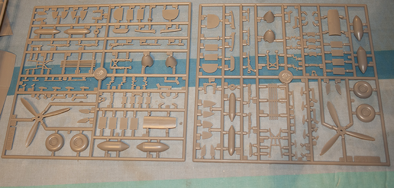Sprue_04.jpg