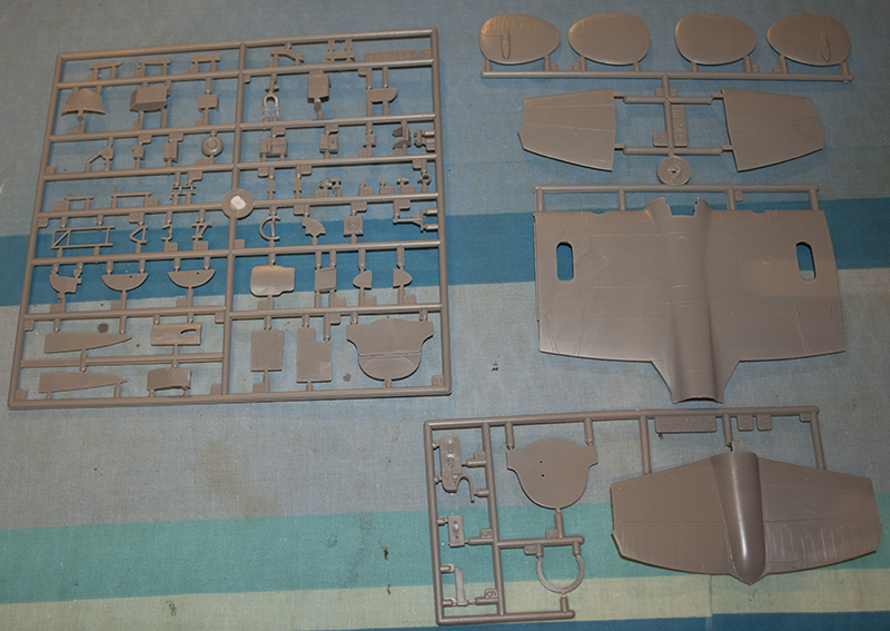 Sprue_05.jpg